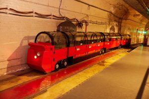 Celebrating 10 Years of Taylor Airey